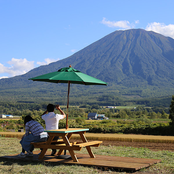 シーニックデッキ
